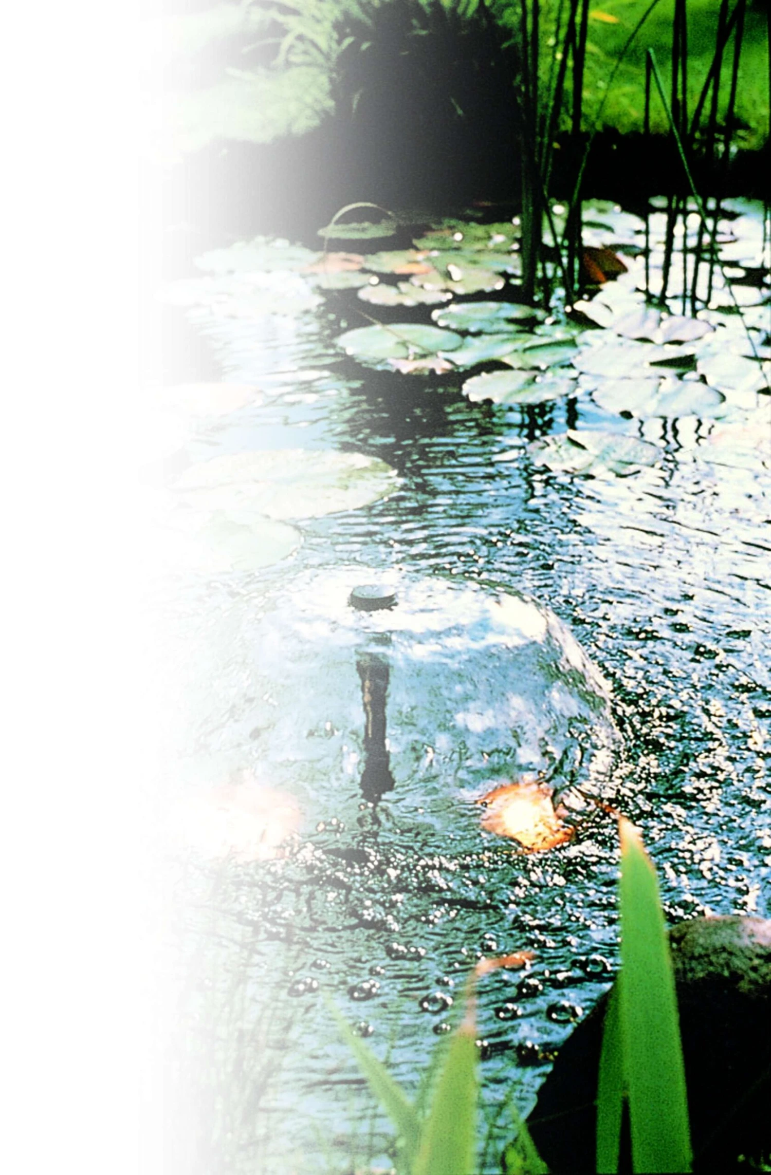 Ubbink Fonteinpomp Xtra 600 4 Ubbink Fonteinpomp Xtra 600 - Afbeelding 2