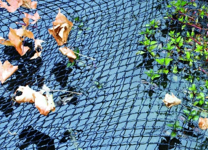 VT Vijvernet 6 X 10 Meter 4 VT Vijvernet 6 X 10 Meter - Afbeelding 2