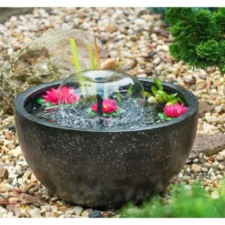 Aanbiedingen Hof Geluk Winkel -Aanbiedingen Hof Geluk Winkel mini vijverset 1 1