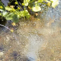 Oase Aquaoxy 1000 -Aanbiedingen Hof Geluk Winkel oase aquaoxy 1000 02