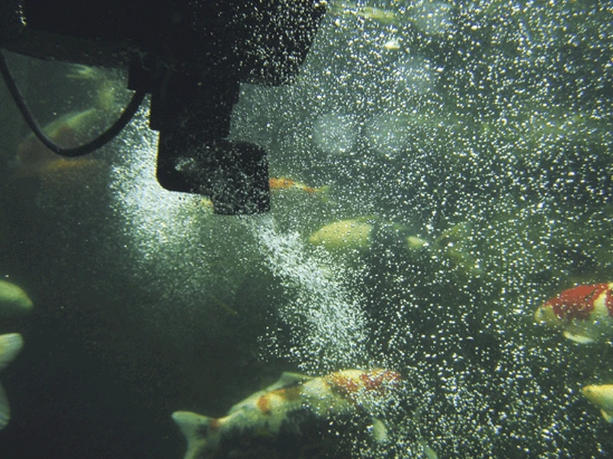 Oase Swimskim 50 4 Oase Swimskim 50 - Afbeelding 2