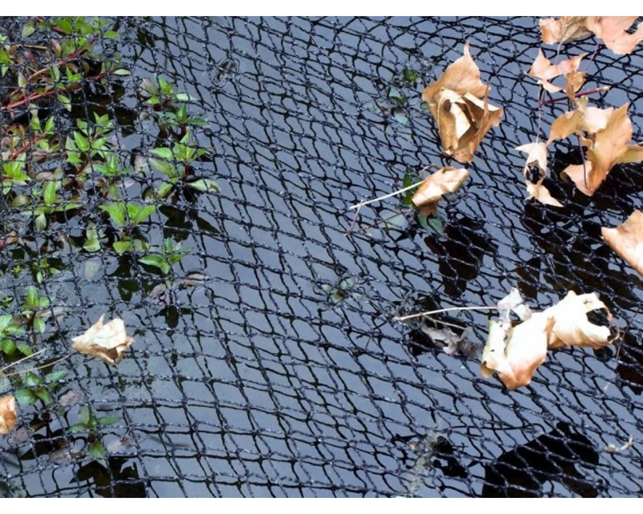 Velda Covernet 6x10m 5 Velda Covernet 6x10m - Afbeelding 3